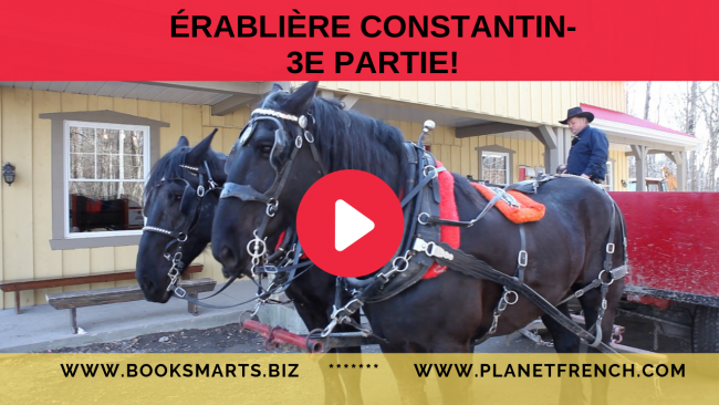 Erabliere Constantin-3e partie